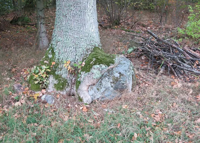 Oestra Nyrups Lantliv